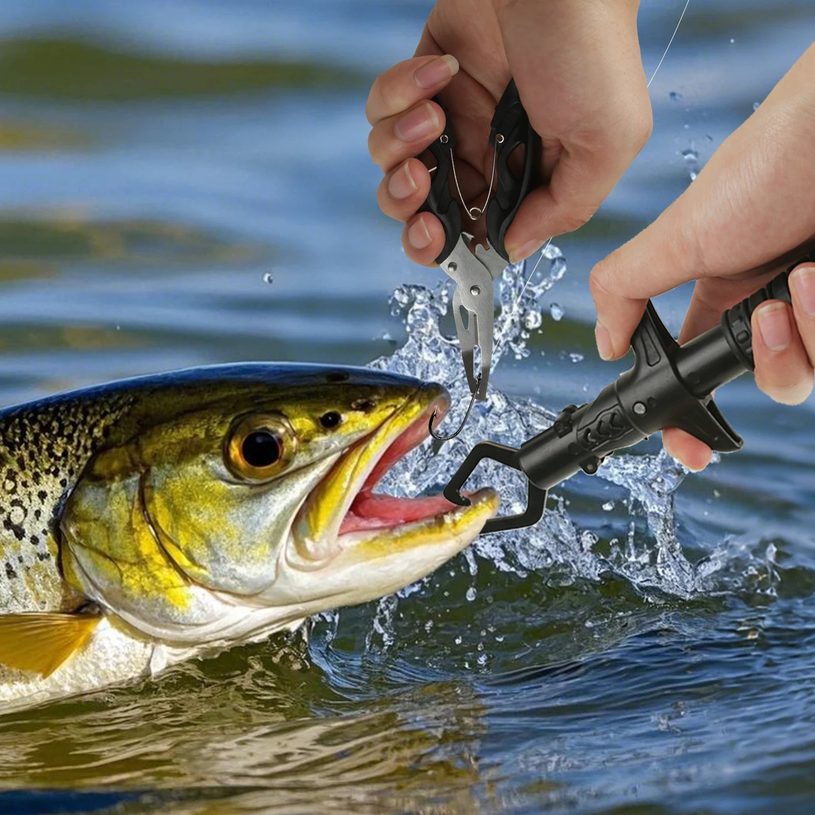 S3f6046b4f5fd4ba9bde3cd31b1eea349l